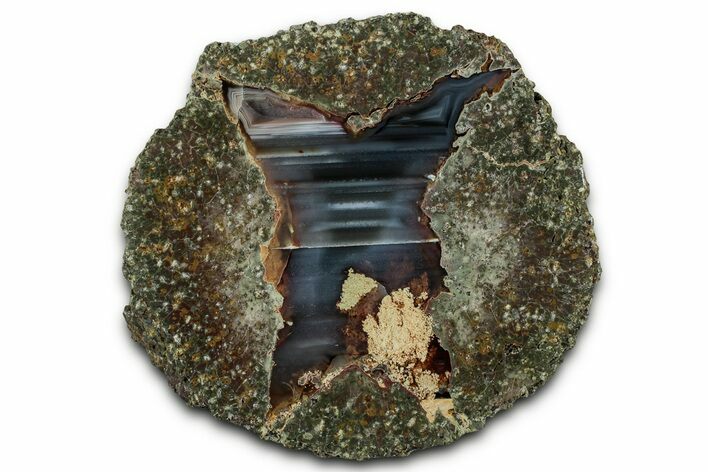 Colorful Polished Thunderegg Half - Oregon #328234